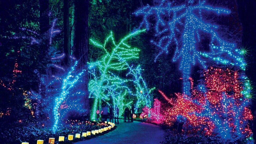 Christmas Light Show Case Reaches Supreme Court Appeal: Lawyer Claims Religious Discrimination