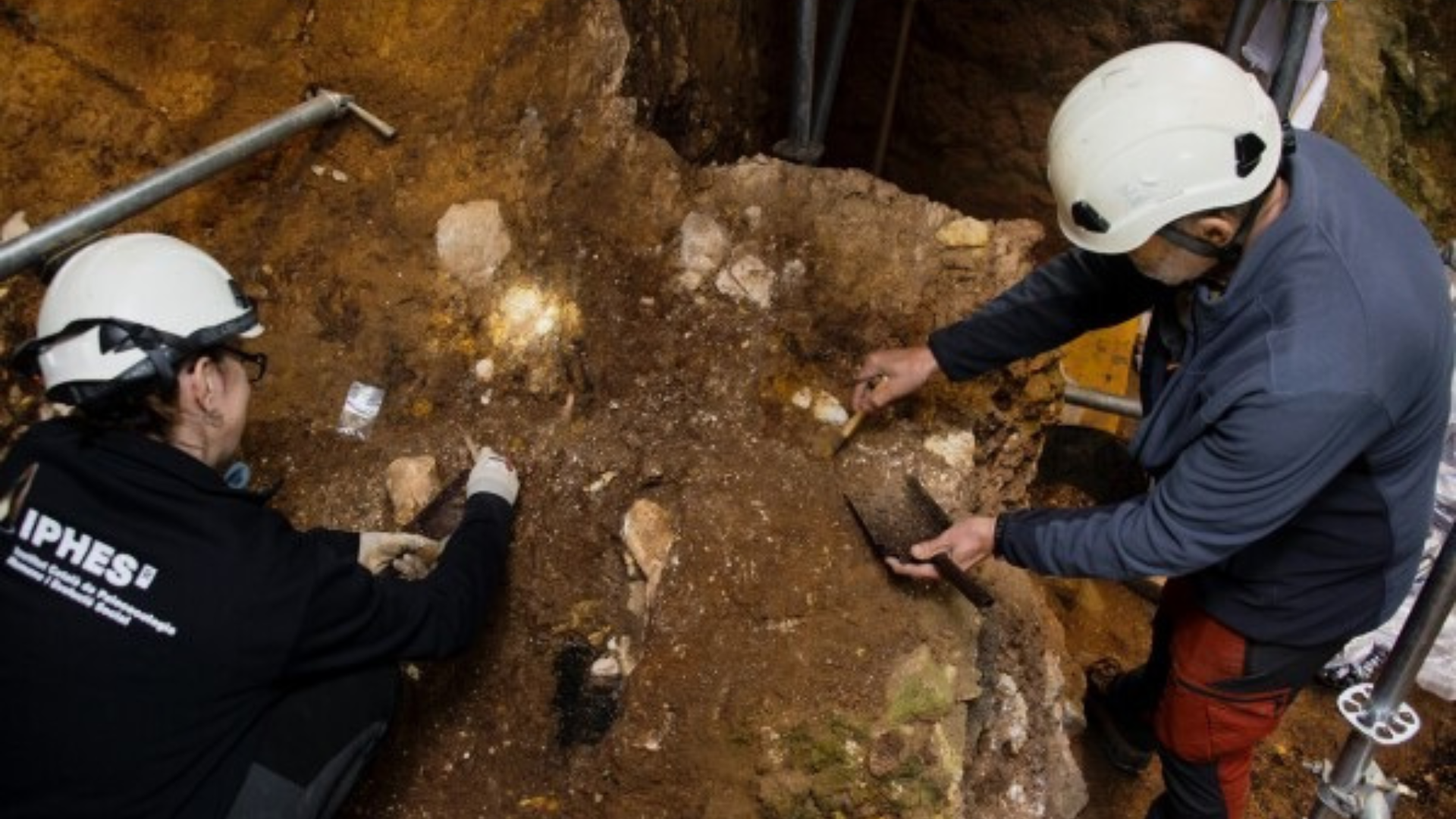 oldest human ancestor fossil