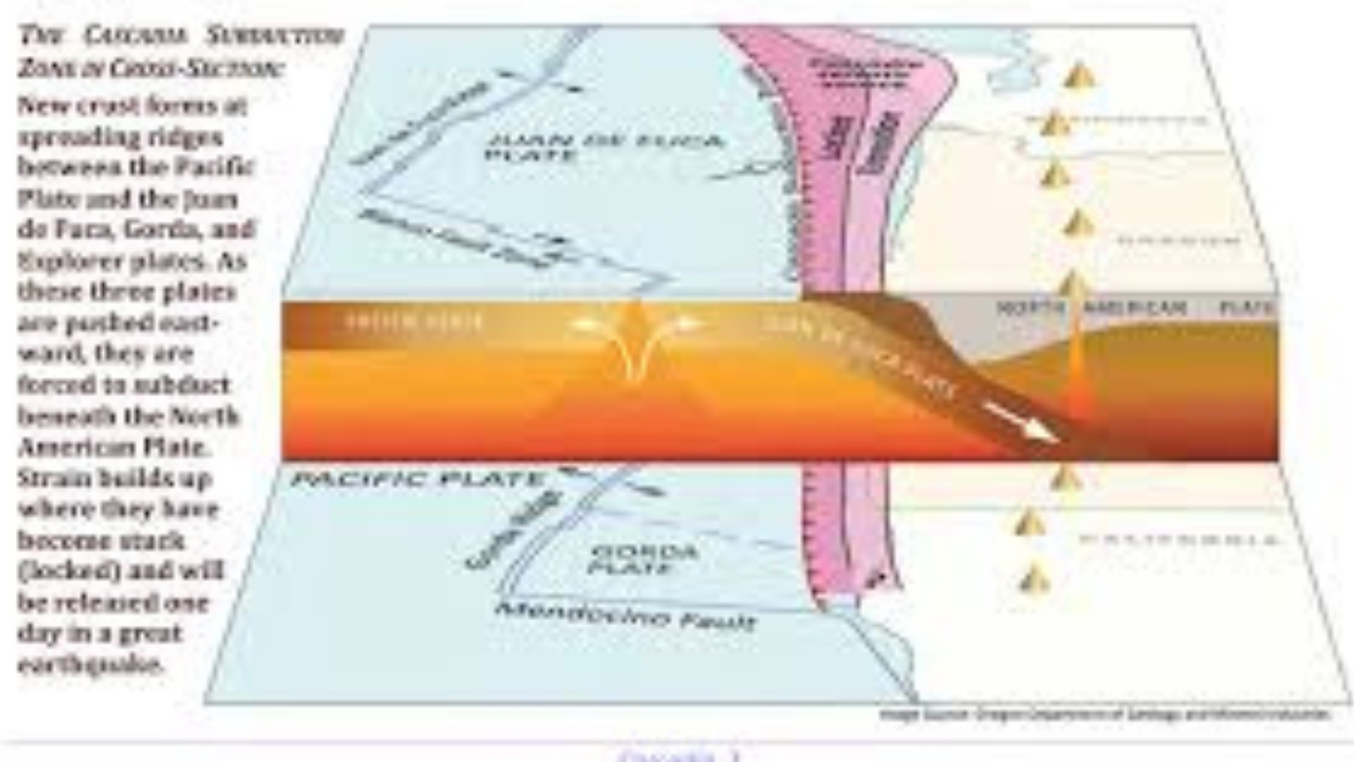 Cascadia Subduction Zone Earthquake