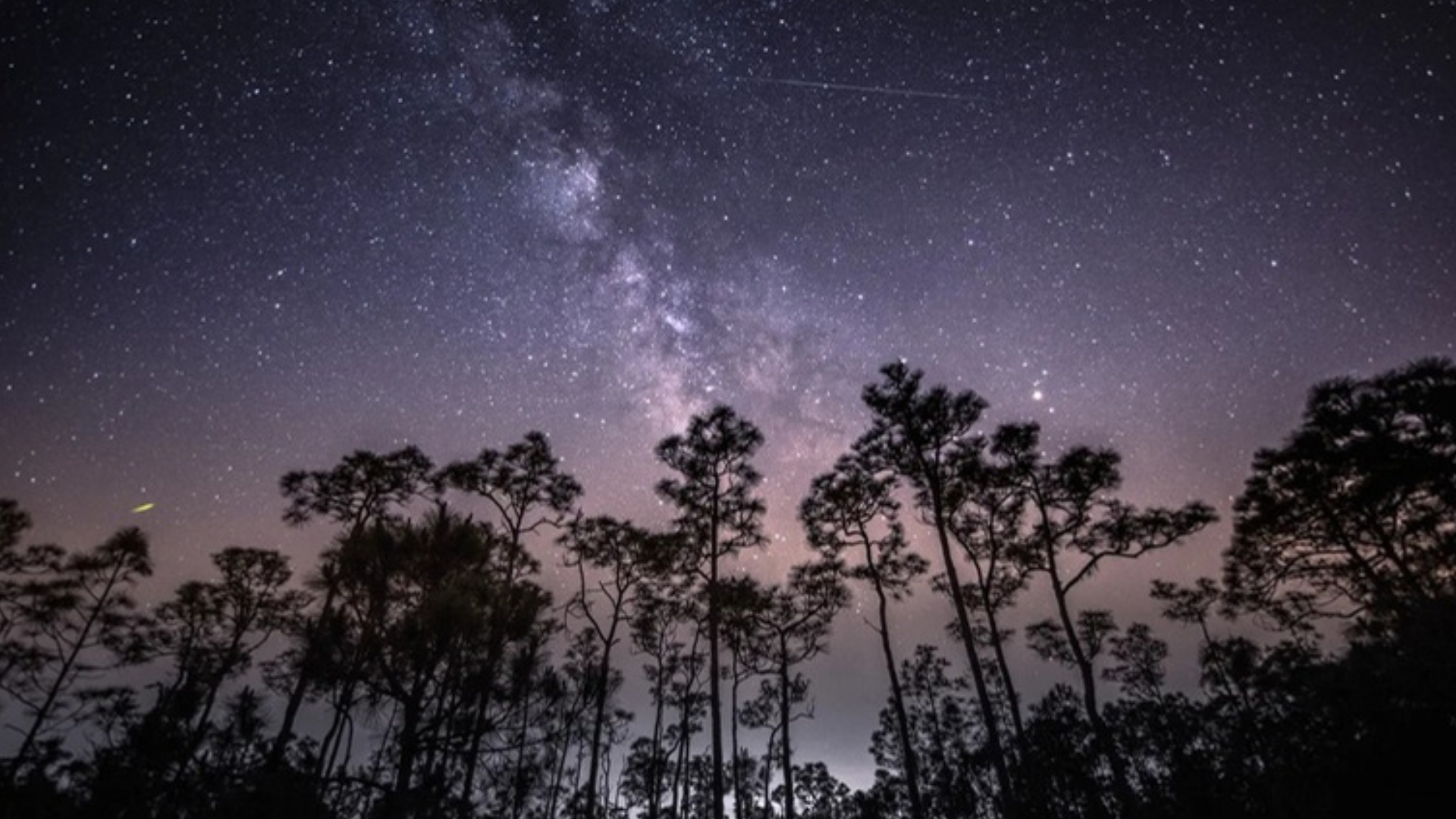 Eta Aquariid Meteor Shower