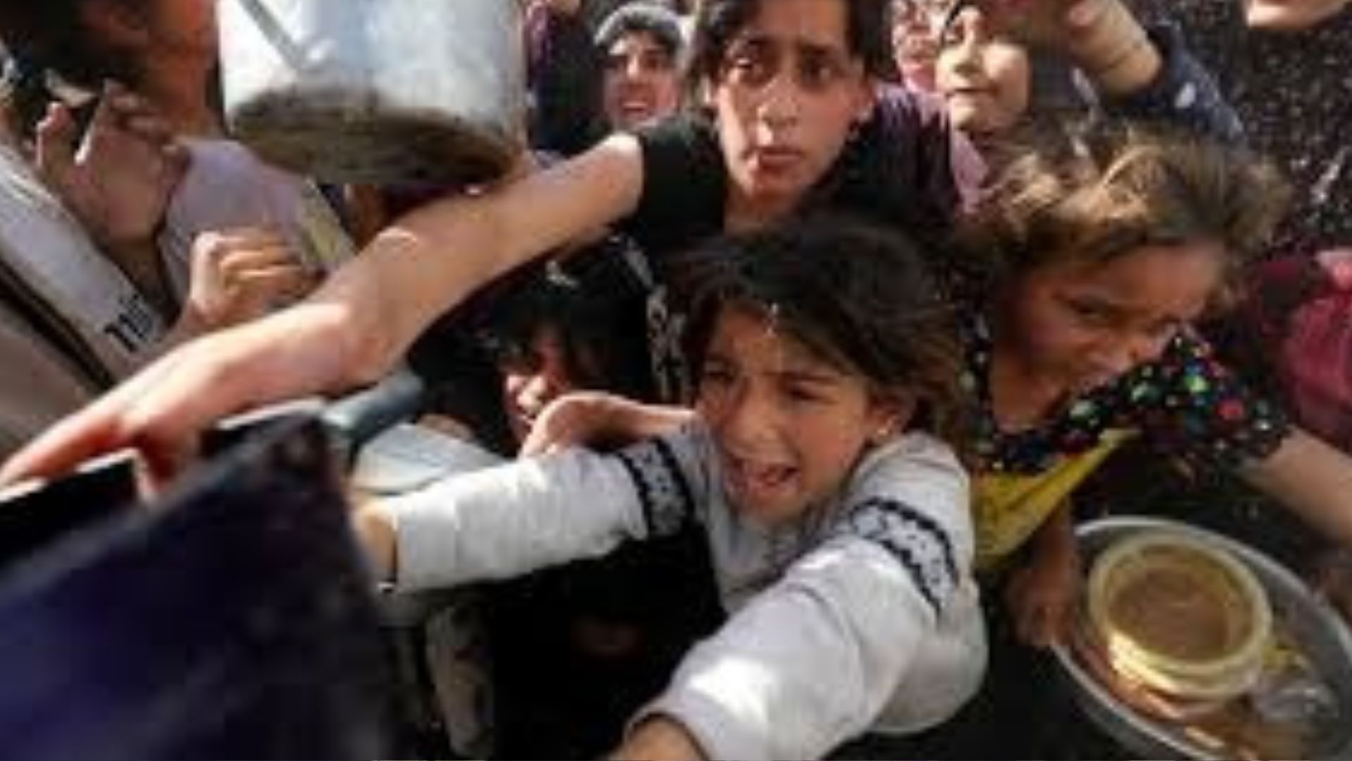 Gaza famine crisis